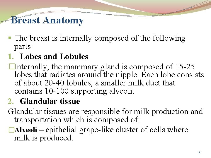 Breast Anatomy § The breast is internally composed of the following parts: 1. Lobes