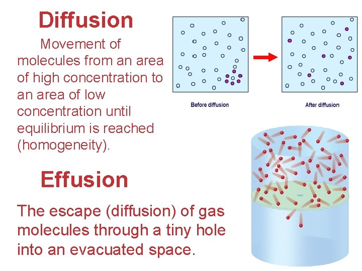 Diffusion Movement of molecules from an area of high concentration to an area of