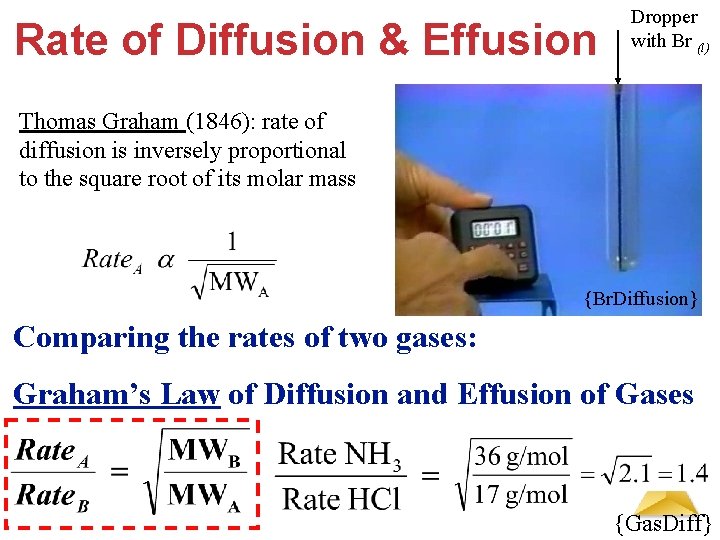 Rate of Diffusion & Effusion Dropper with Br (l) Thomas Graham (1846): rate of