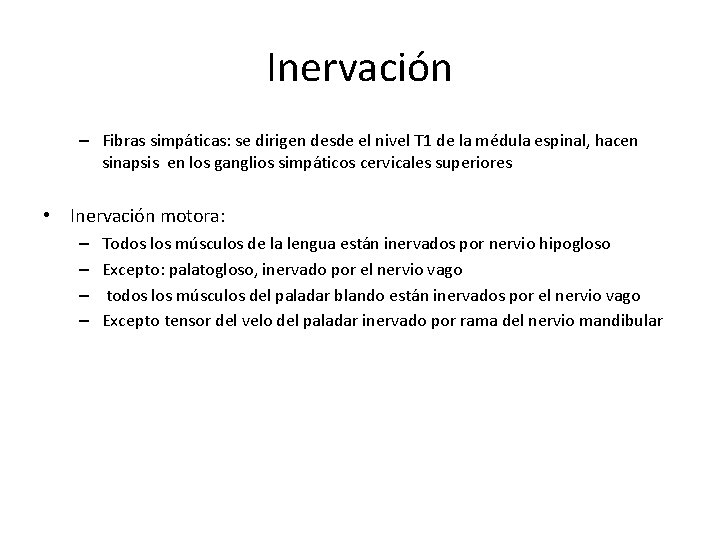 Inervación – Fibras simpáticas: se dirigen desde el nivel T 1 de la médula Inervación – Fibras simpáticas: se dirigen desde el nivel T 1 de la médula