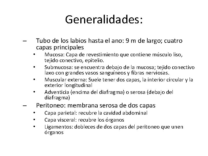 Generalidades: – • • • Tubo de los labios hasta el ano: 9 m