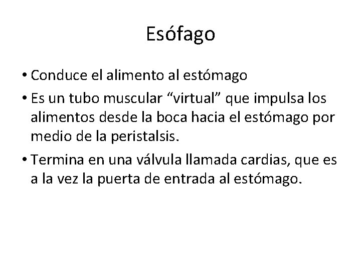 Esófago • Conduce el alimento al estómago • Es un tubo muscular “virtual” que