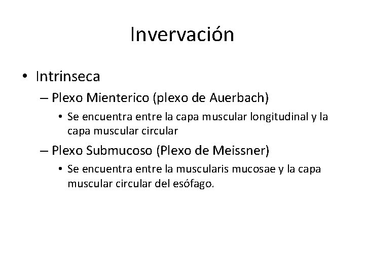 Invervación • Intrinseca – Plexo Mienterico (plexo de Auerbach) • Se encuentra entre la
