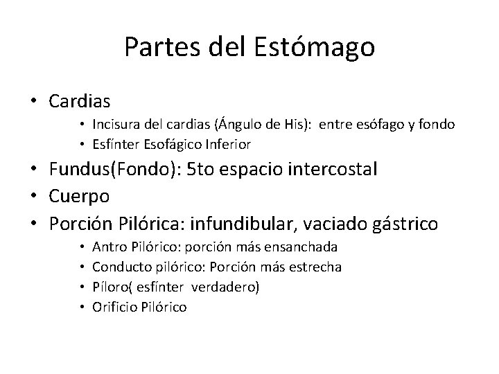 Partes del Estómago • Cardias • Incisura del cardias (Ángulo de His): entre esófago