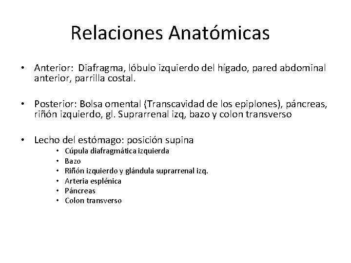 Relaciones Anatómicas • Anterior: Diafragma, lóbulo izquierdo del hígado, pared abdominal anterior, parrilla costal.