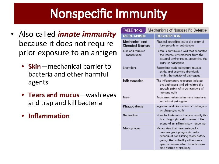 Nonspecific Immunity • Also called innate immunity because it does not require prior exposure Nonspecific Immunity • Also called innate immunity because it does not require prior exposure
