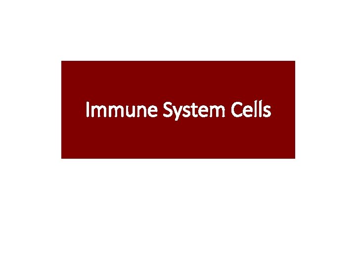 Immune System Cells Immune System Cells