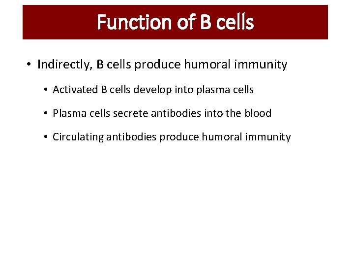 Function of B cells • Indirectly, B cells produce humoral immunity • Activated B Function of B cells • Indirectly, B cells produce humoral immunity • Activated B