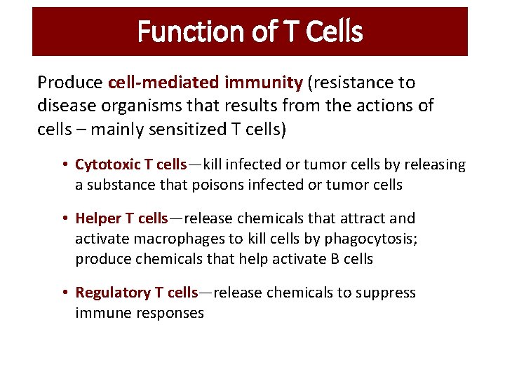 Function of T Cells Produce cell-mediated immunity (resistance to disease organisms that results from Function of T Cells Produce cell-mediated immunity (resistance to disease organisms that results from