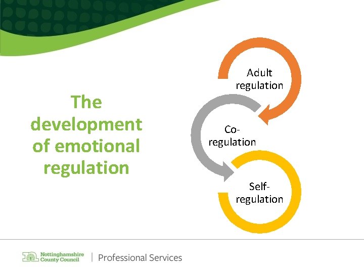 The development of emotional regulation Adult regulation Coregulation Selfregulation 