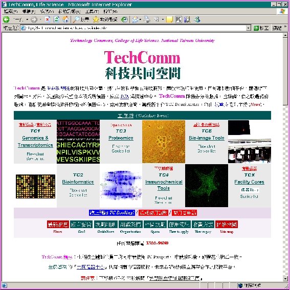 College of Life Science Technology Commons 莊榮輝 生化科技學系 生命科學院 