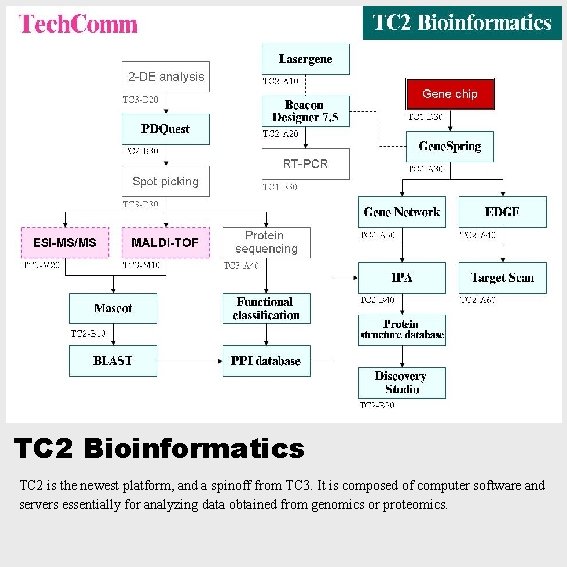 TC 2 Bioinformatics TC 2 is the newest platform, and a spinoff from TC