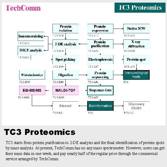 TC 3 Proteomics TC 3 starts from protein purification to 2 -DE analysis and