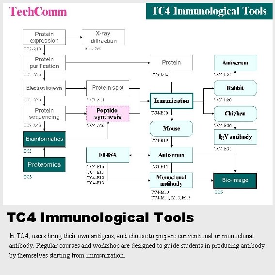 TC 4 Immunological Tools In TC 4, users bring their own antigens, and choose