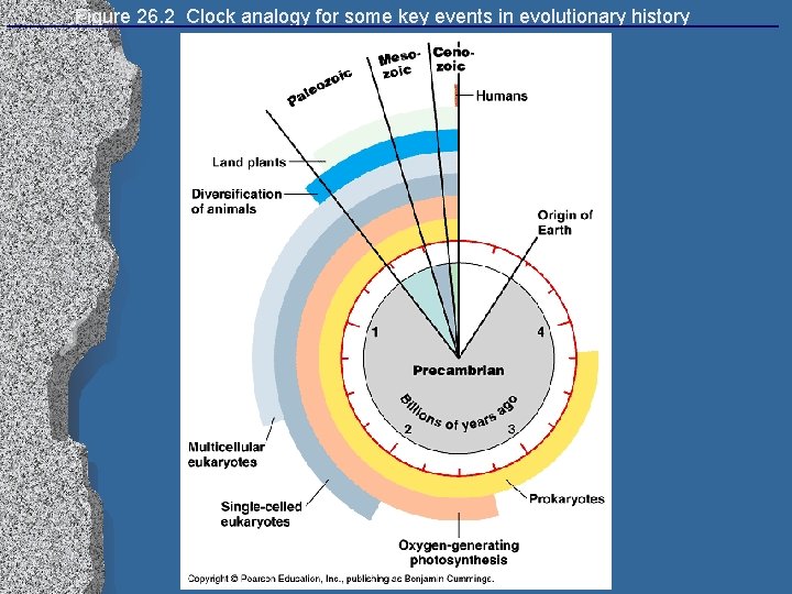Figure 26. 2 Clock analogy for some key events in evolutionary history 