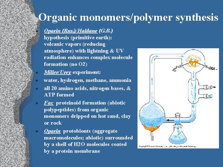 Organic monomers/polymer synthesis l l l Oparin (Rus. )/Haldane (G. B. ) hypothesis (primitive