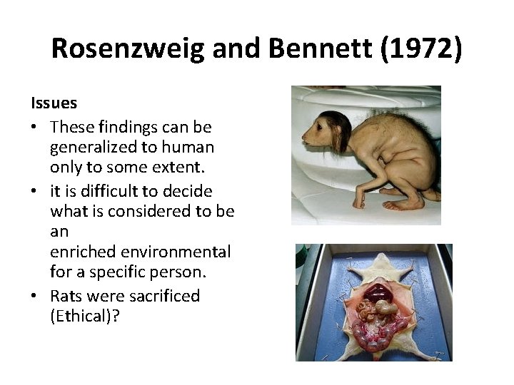 Rosenzweig and Bennett (1972) Issues • These findings can be generalized to human only