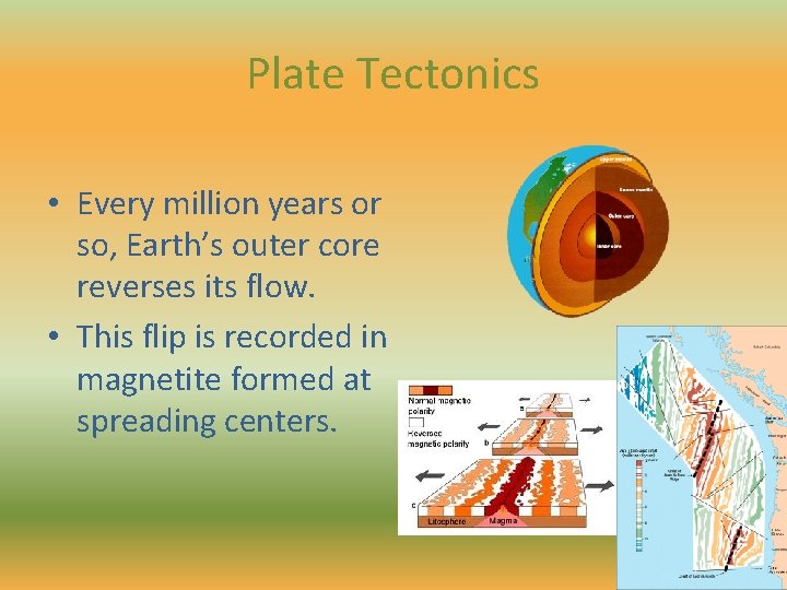 Plate Tectonics • Every million years or so, Earth’s outer core reverses its flow.