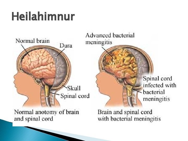 Heilahimnur 