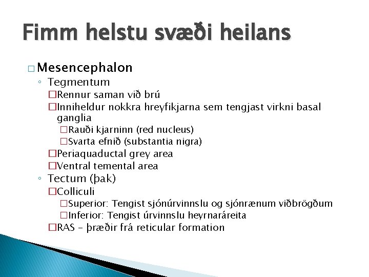 Fimm helstu svæði heilans � Mesencephalon ◦ Tegmentum �Rennur saman við brú �Inniheldur nokkra