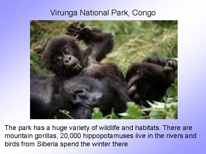 Virunga National Park, Congo The park has a huge variety of wildlife and habitats.
