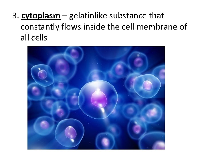 3. cytoplasm – gelatinlike substance that constantly flows inside the cell membrane of all 3. cytoplasm – gelatinlike substance that constantly flows inside the cell membrane of all