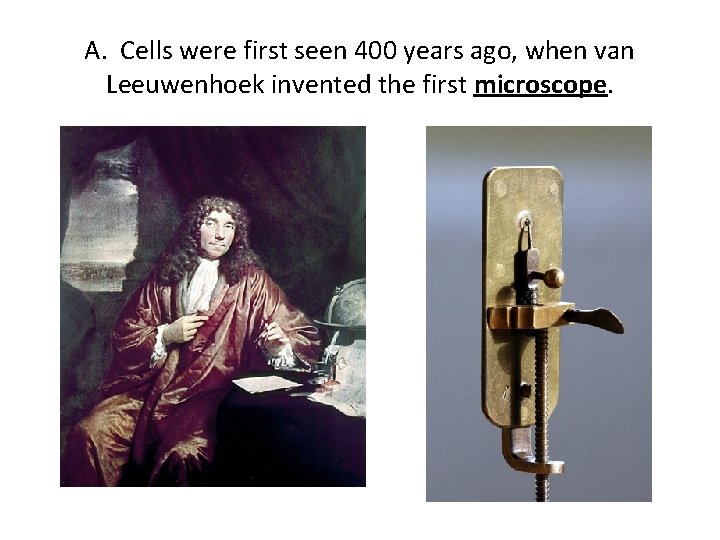 A. Cells were first seen 400 years ago, when van Leeuwenhoek invented the first