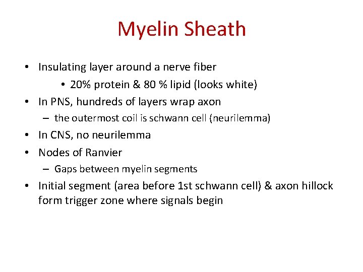 Myelin Sheath • Insulating layer around a nerve fiber • 20% protein & 80
