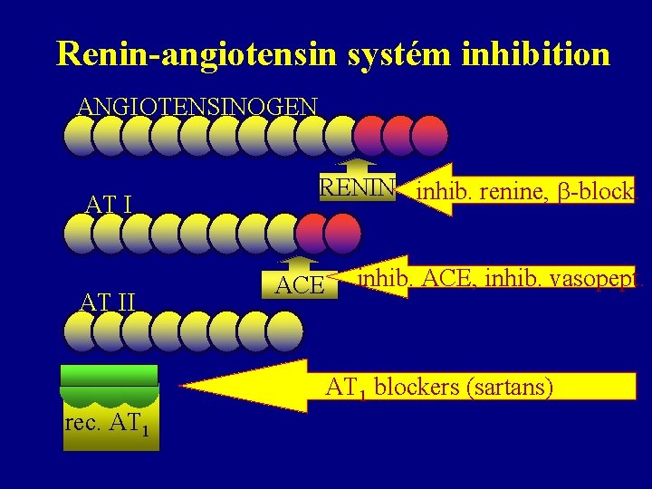 Renin-angiotensin systém inhibition ANGIOTENSINOGEN AT II RENIN inhib. renine, -block. ACE inhib. ACE, inhib.