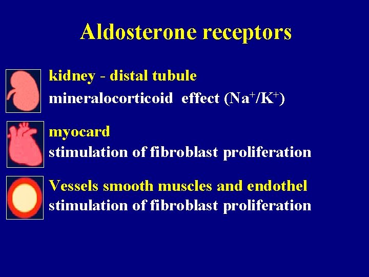 Aldosterone receptors kidney - distal tubule mineralocorticoid effect (Na+/K+) myocard stimulation of fibroblast proliferation