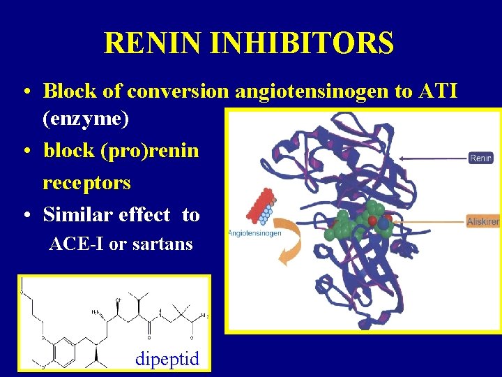 RENIN INHIBITORS • Block of conversion angiotensinogen to ATI (enzyme) • block (pro)renin receptors