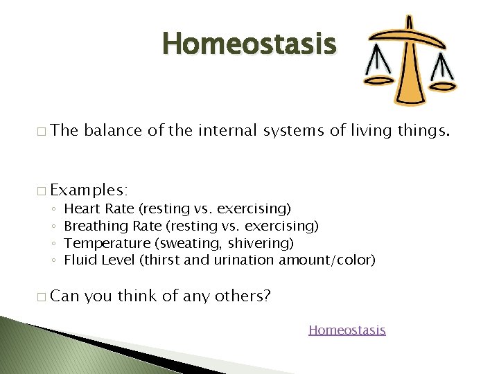 Homeostasis � The balance of the internal systems of living things. � Examples: ◦