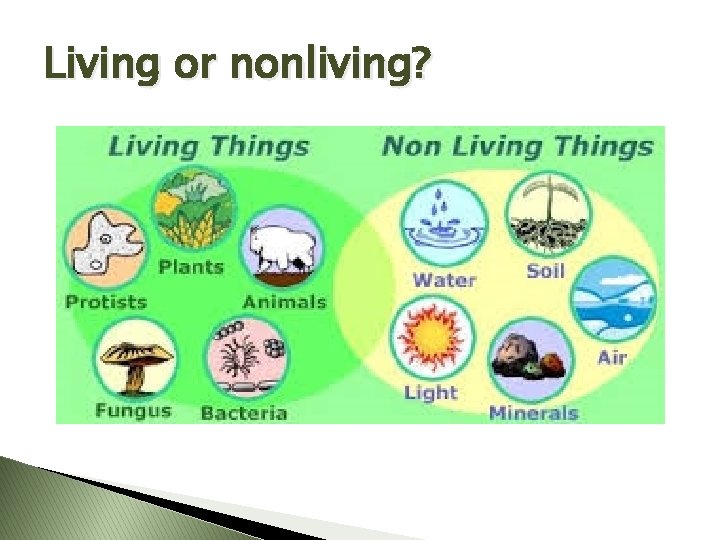 Living or nonliving? 