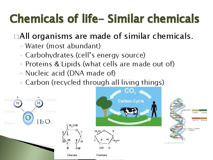 Chemicals of life- Similar chemicals � All ◦ ◦ ◦ organisms are made of