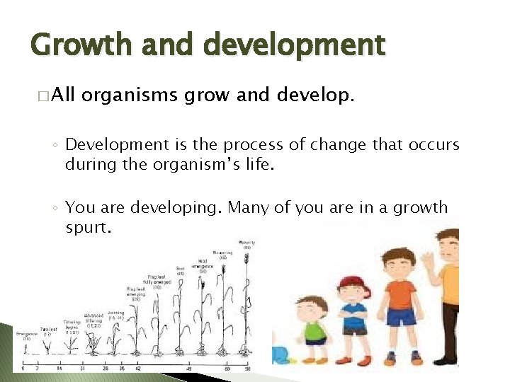 Growth and development � All organisms grow and develop. ◦ Development is the process