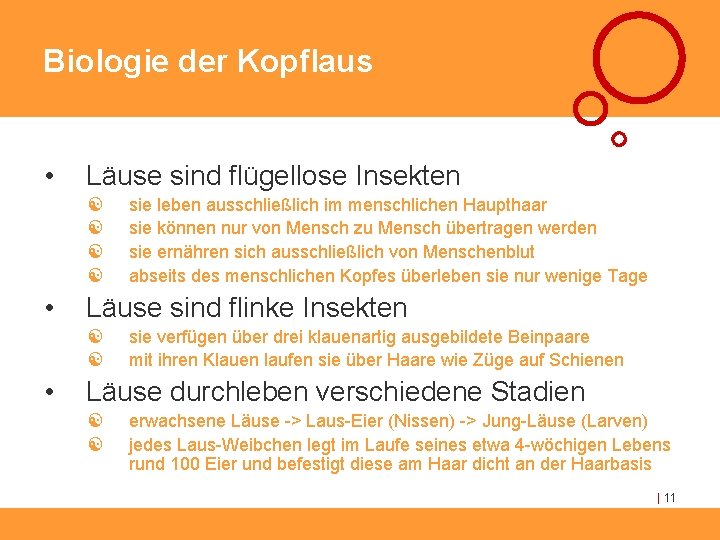 Biologie der Kopflaus • Läuse sind flügellose Insekten [ [ • Läuse sind flinke