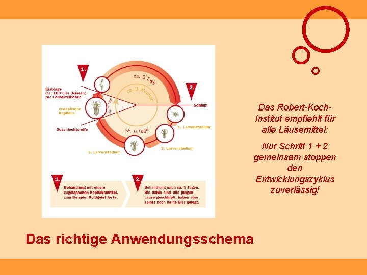 Das Robert-Koch. Institut empfiehlt für alle Läusemittel: Nur Schritt 1 + 2 gemeinsam stoppen