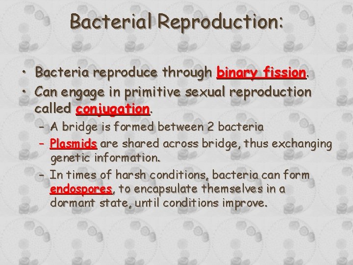 Bacterial Reproduction: • Bacteria reproduce through binary fission. • Can engage in primitive sexual Bacterial Reproduction: • Bacteria reproduce through binary fission. • Can engage in primitive sexual