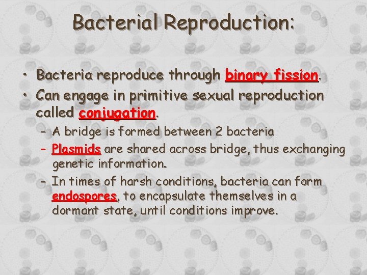 Bacterial Reproduction: • Bacteria reproduce through binary fission. • Can engage in primitive sexual