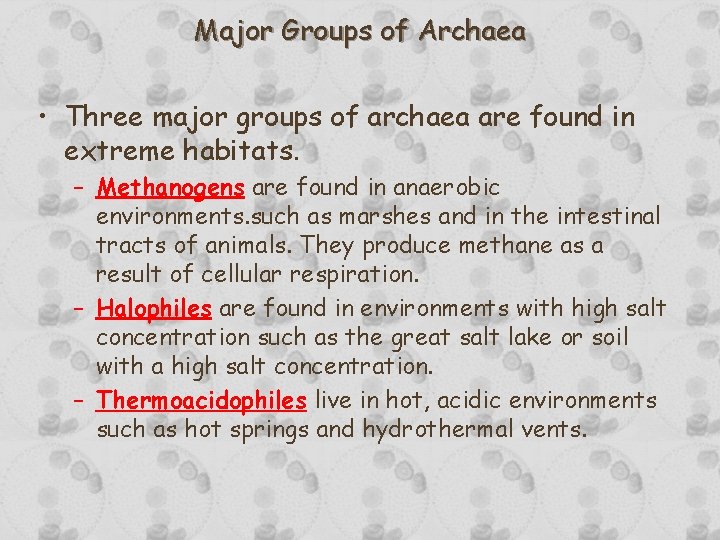 Major Groups of Archaea • Three major groups of archaea are found in extreme