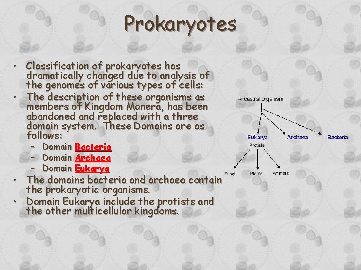 Prokaryotes • Classification of prokaryotes has dramatically changed due to analysis of the genomes