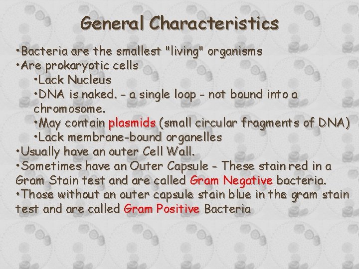 General Characteristics • Bacteria are the smallest "living" organisms • Are prokaryotic cells •