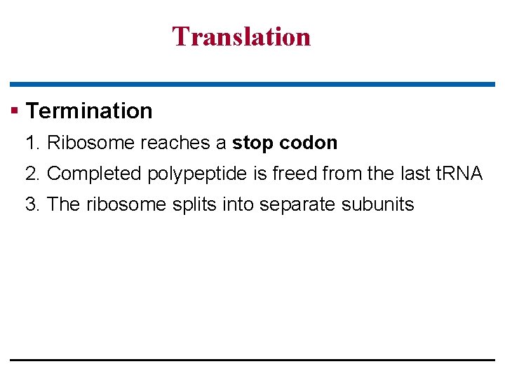 Translation § Termination 1. Ribosome reaches a stop codon 2. Completed polypeptide is freed