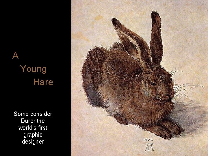 A Young Hare Some consider Durer the world’s first graphic designer 