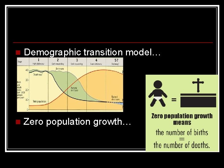 n Demographic transition model… n Zero population growth… 