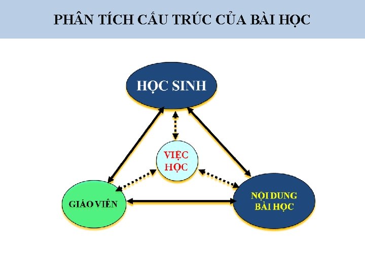 PH N TÍCH CẤU TRÚC CỦA BÀI HỌC 