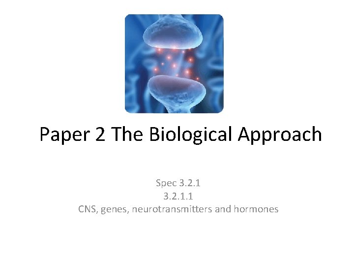 Paper 2 The Biological Approach Spec 3. 2. 1. 1 CNS, genes, neurotransmitters and