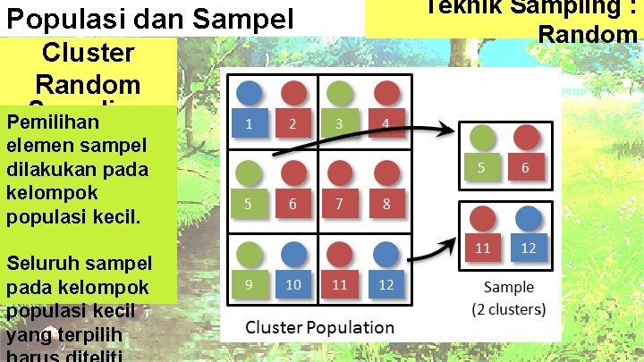 Populasi dan Sampel Cluster Random Sampling Pemilihan elemen sampel dilakukan pada kelompok populasi kecil.