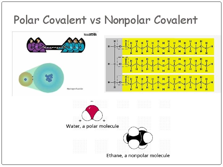 Polar Covalent vs Nonpolar Covalent 