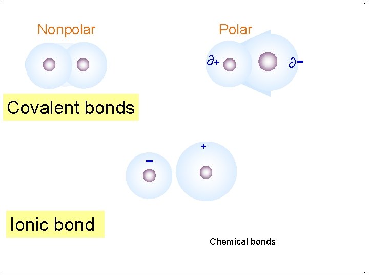 Nonpolar Polar ∂+ Covalent bonds - + Ionic bond Chemical bonds ∂ - 